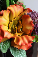 September Green, pomarańczowe sukulenty w czarnej donicy