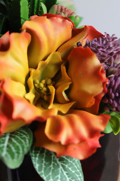 September Green, pomarańczowe sukulenty w czarnej donicy