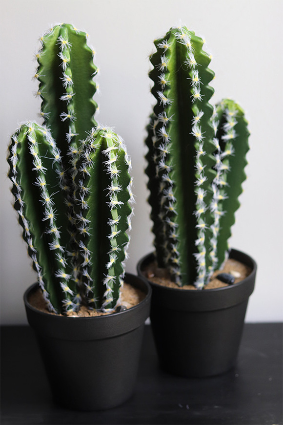 Kaktus Neria, sztuczna roślina