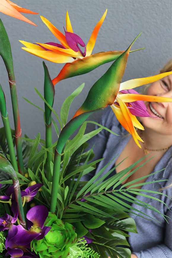 Grestina Figaro, kompozycja ze strelicją w złotej donicy, wys.91cm 