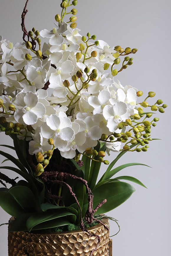 Goldenario Ellie S, biały gumowy storczyk w złotej donicy