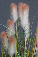 Piaskova Trawa, wysoka kompozycja ze sztucznej trawy