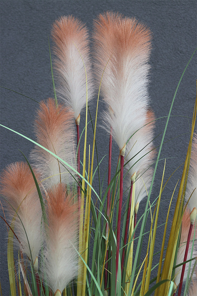 Piaskova Trawa, wysoka kompozycja ze sztucznej trawy