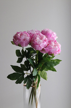 OD RĘKI Real Peony, bukiet realistycznych peonii, różowe, 5szt, dł.58cm