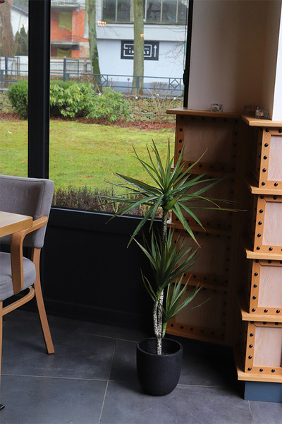 Dracena Volcan, sztuczna roślina w doniczce