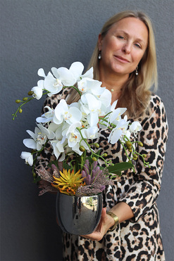 Jeanne Suculenti, storczyk w srebrnej doniczce, wys.47cm