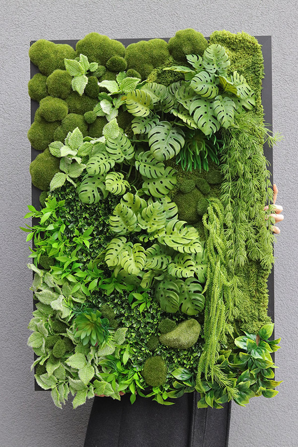 Black Frame Brazilea, czarna jednostronna rama sukulenty