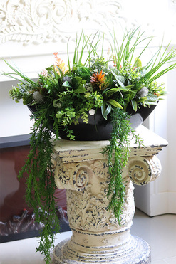 Green Terrance Laos, kompozycja sukulenty w czarnej donicy, wym.35x60cm 