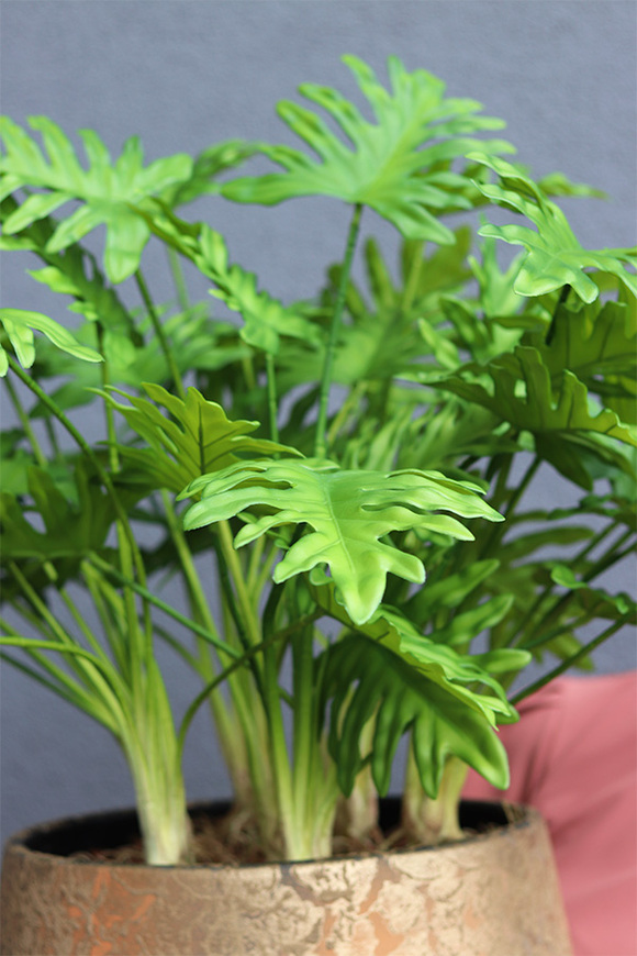 Filodendron Gold Hilton, drzewko sztuczne w donicy