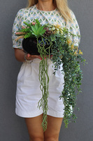 Green Delia, zielona kompozycja z sukulentami, wym.25x32cm