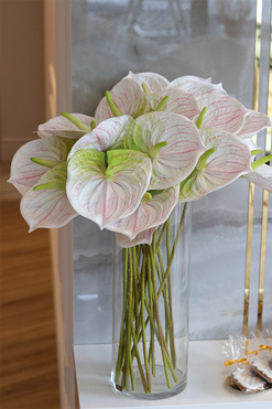 Anturium Secret of Flowers, bukiet kwiatów do wazonu, wys.ok.60cm 