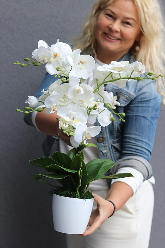 Pure White Mediolan, sztuczny storczyk w plastikowej donicy