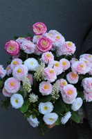 Stokroteczki, wiosenna kompozycja kwiatowa w koszu