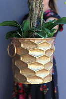 Pink & Gold Honey, gumowy storczyk w złotej donicy, wys.80cm