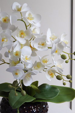 Krettera, sztuczny storczyk w ozdobnej donicy, wys.47cm