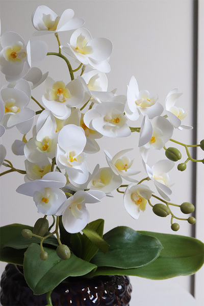 Krettera, sztuczny storczyk w ozdobnej donicy