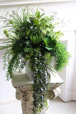 Renoma, zielona kompozycja sukulenty do twojej donicy, wym.55x60cm 