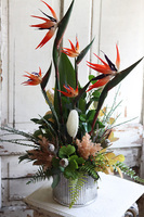 egzotyczna kompozycja w srebrnej donicy, Strelicja Calgary, wys.78cm 