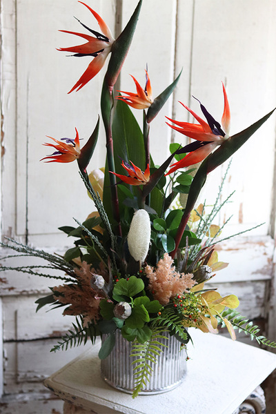 egzotyczna kompozycja w srebrnej donicy, Strelicja Calgary, wys.78cm 