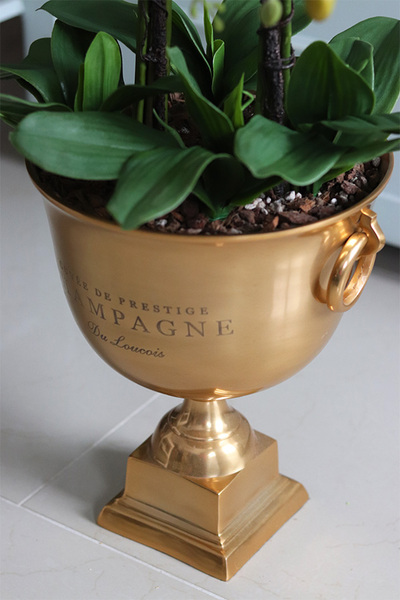 ekskluzywny storczyk w złotym pucharze, Gold Champagne Cooler, wys.83cm 