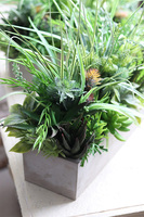 Betonia, kompozycja Sukulenty w betonowej donicy, wym.38x47cm