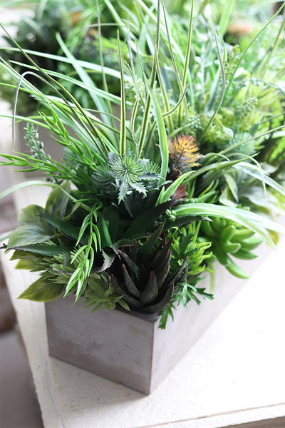 Betonia, kompozycja Sukulenty w betonowej donicy, wym.38x47cm