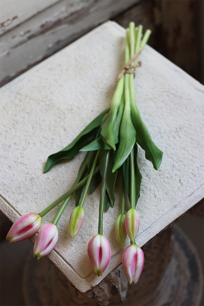 bukiet tulipanów silikonowych Avrill Cream Pink, 7szt. dł.43cm
