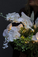 Dekoria Ośnieżony Storczyk, elegancki storczyk zimowy