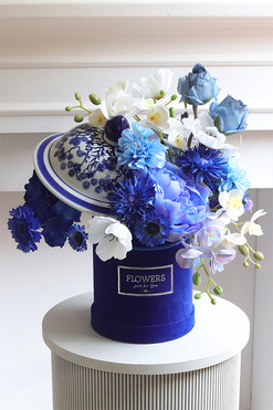 Busan Navy, flowerbox welurowy, wys.48cm