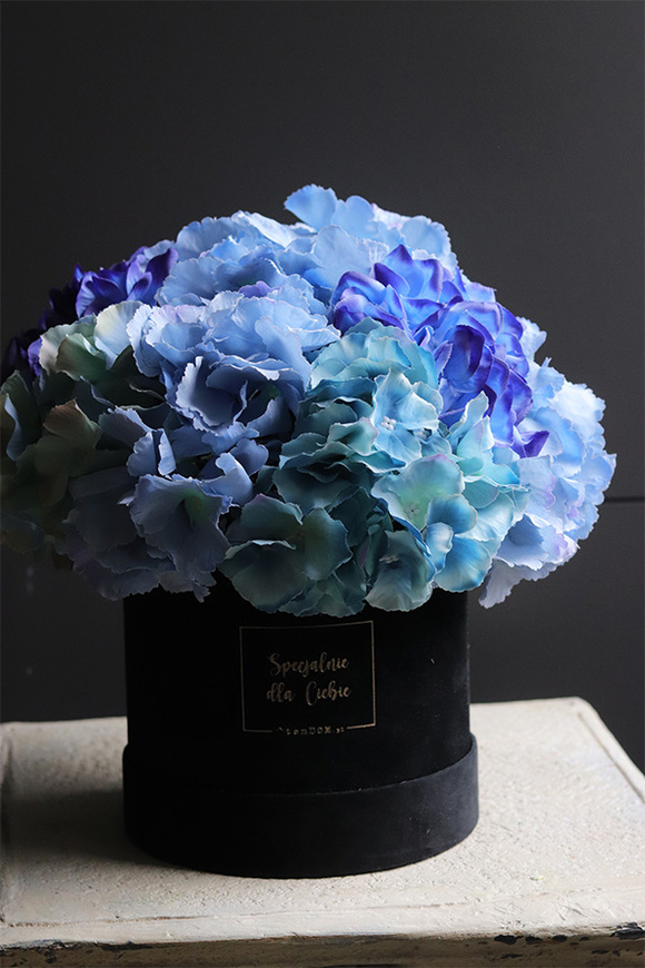 Blueta Mojito, flowerbox niebieskie hortensje