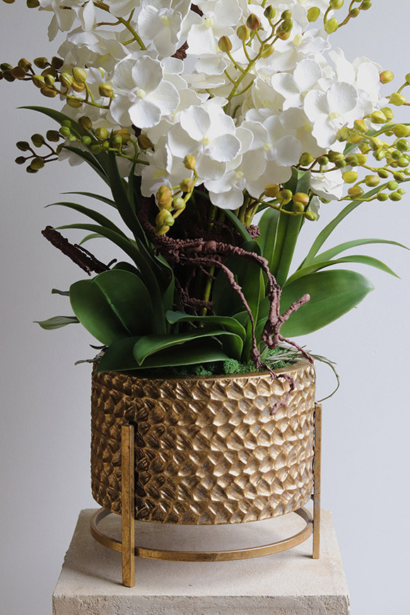 Goldenario Ellie S, biały gumowy storczyk w złotej donicy