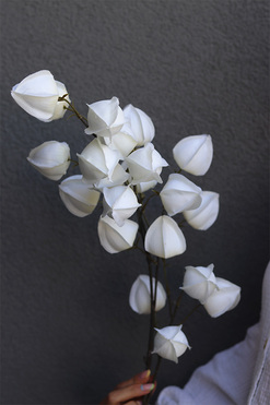 Miechunka, gałązka sztuczny kwiat, biała, 1szt., dł.98cm