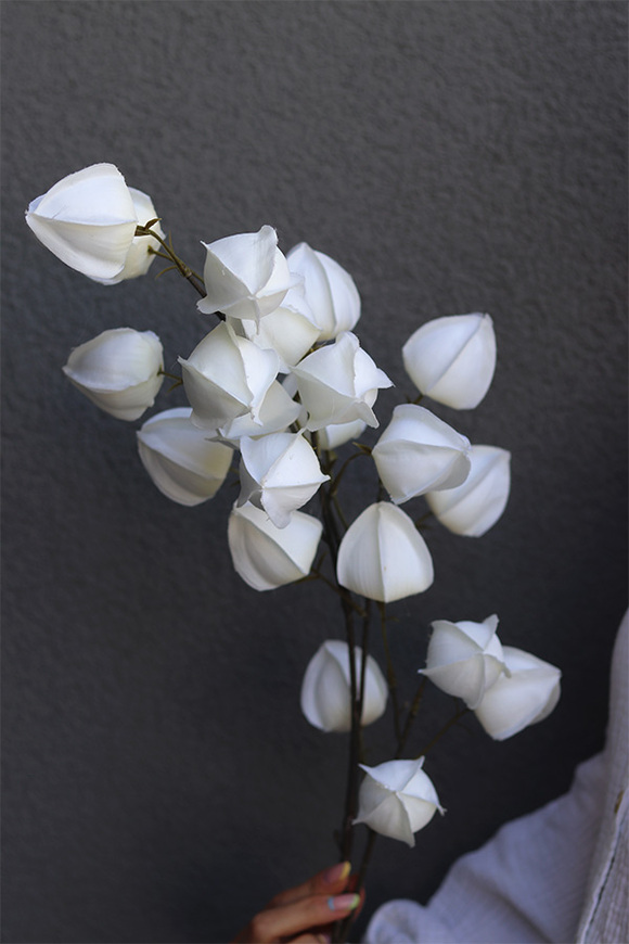 Miechunka, gałązka sztuczny kwiat, biała, 1 szt., dł.98cm