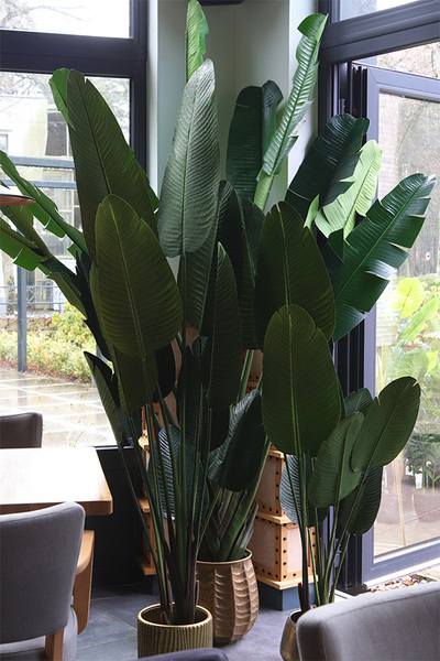 Bananowiec, sztuczne drzewko w osłonce donicy