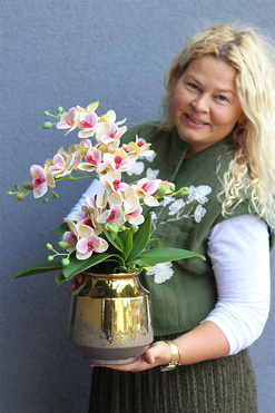 Pink Leonitre, gumowy storczyk w złotej donicy, wys.52cm