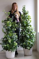 New Green Provance, drzewko sztuczne kolumnowe w donicy