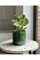 Vintage Mare, ceramiczna doniczka z podstawką