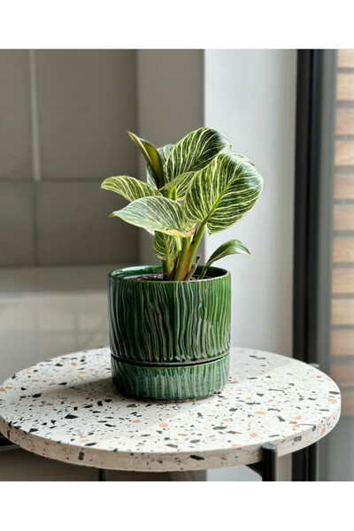 Vintage Mare, ceramiczna doniczka z podstawką