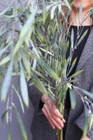 Naturalność, bukiet gałązek wierzby do wazonu