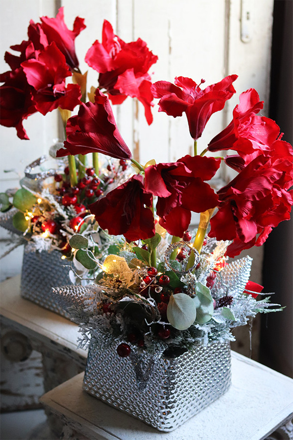 Amarylis Silver Winter, świąteczny stroik z czerwonym amarylisem, wys.60cm  