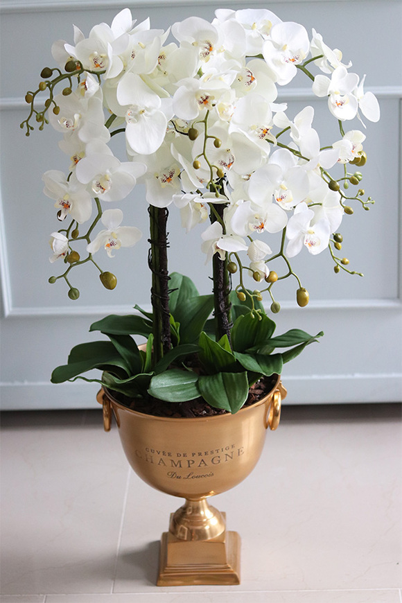 ekskluzywny storczyk w złotym pucharze, Gold Champagne Cooler, wys.83cm 