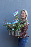 Niebieska Strelicja Wood, egzotyczna kompozycja w donicy