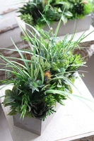 Betonia, kompozycja Sukulenty w betonowej donicy, wym.38x47cm