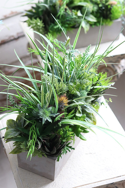 Betonia, kompozycja Sukulenty w betonowej donicy, wym.38x47cm