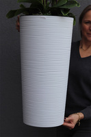 duży storczyk Mediolan Grande Subtila w białej donicy, wys.130cm 