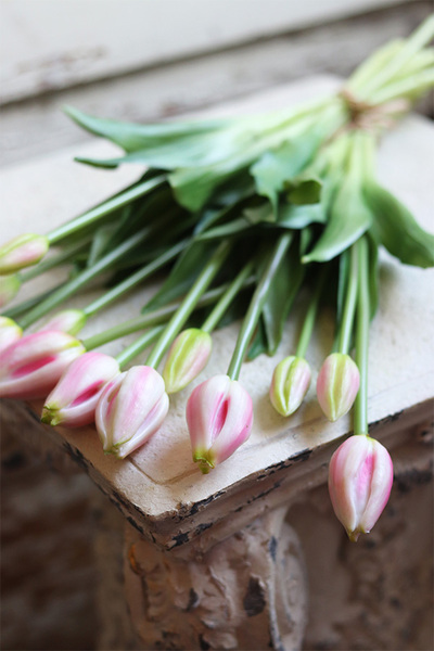 bukiet tulipanów silikonowych Avrill Cream Pink, 7szt. dł.43cm 