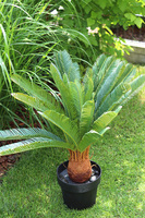 Cykas, sztuczna roślina w osłonce z tworzywa sztucznego, wys.100cm 