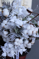 Moko Winter S 2, elegancki zimowy bukiet