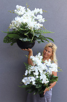  Biała Orchidea, komplet dekoracji nagrobnych