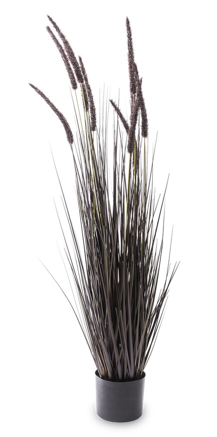 Negra, czarna sztuczna trawa z kłosami, wys.120cm 